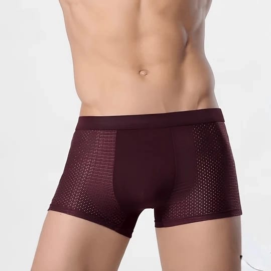 ActiveCool Boxershorts für Herren - Atmungsaktive Kühlende Unterhosen (5-Pack)