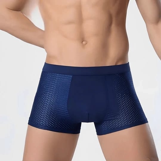 ActiveCool Boxershorts für Herren - Atmungsaktive Kühlende Unterhosen (5-Pack)
